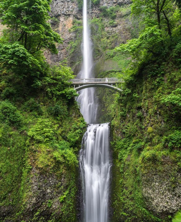 Environmental impact